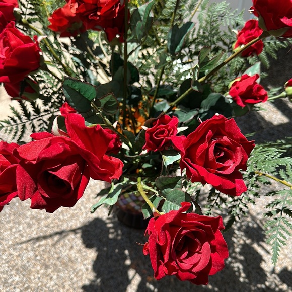 Roses - Picture 3 of 4